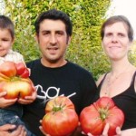 record de France et d'Europe de la plus grosse tomate