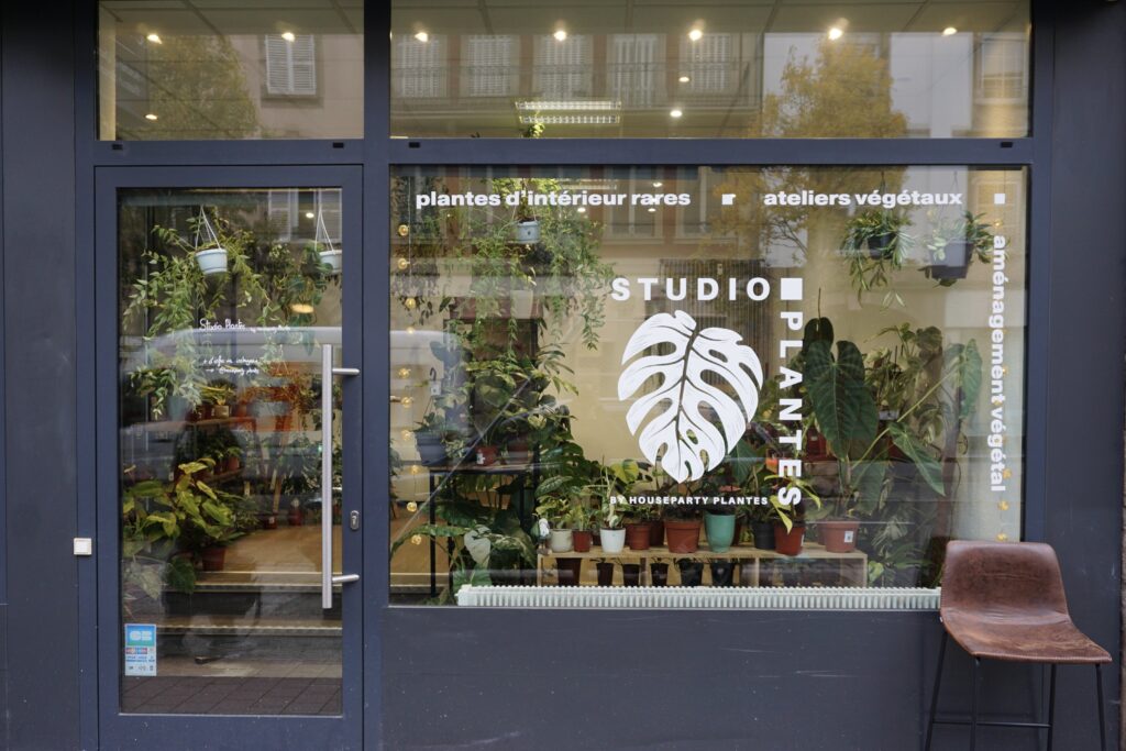 Studio Plantes à Strasbourg