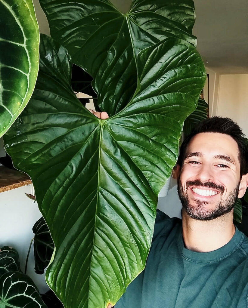 Baptiste au milieu de ses plantes tropicales