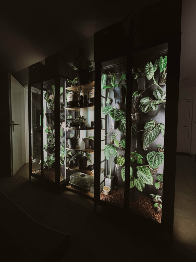 Les vitrines de Charlotte