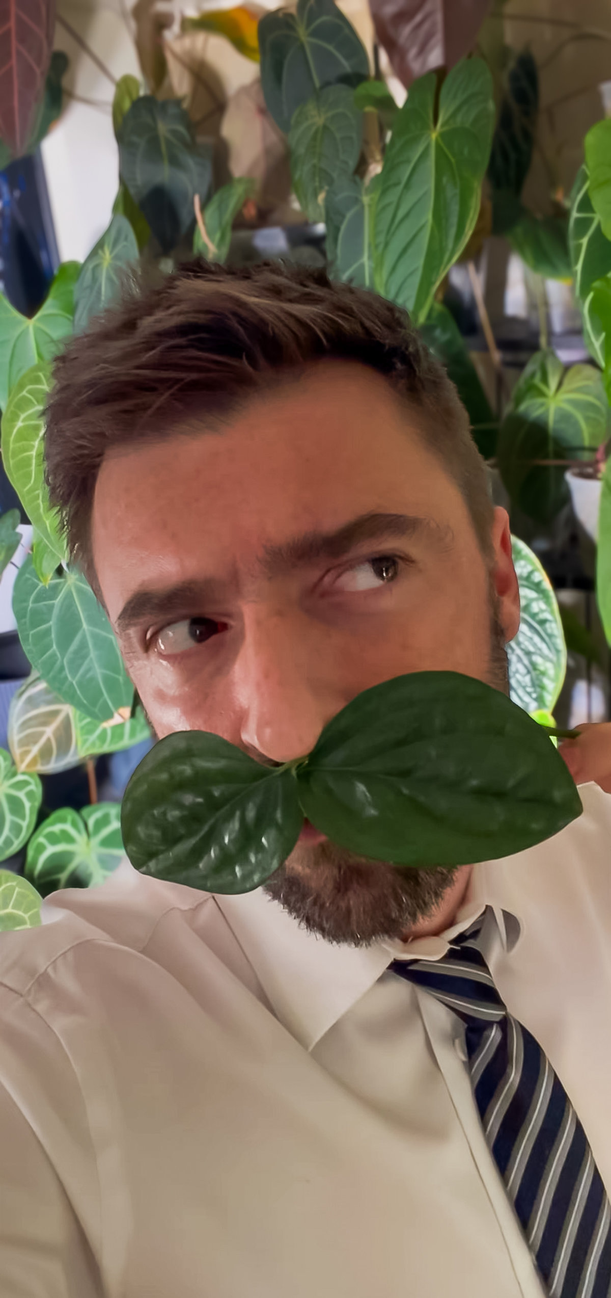 Jean Damien, banquier le jour, plant addict la nuit